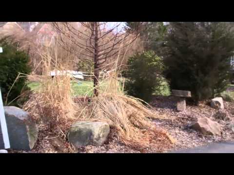 Lanesville living Gloucester Ma