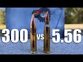300 Blackout vs 5.56: NOT Even Close?