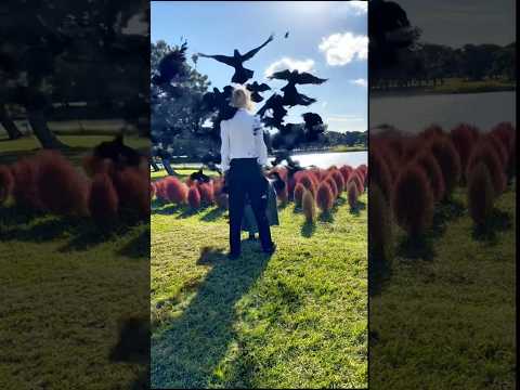 ハウルが鳥に…‼️海外で流行りの鳥変化 #howlsmovingcastle