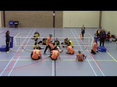 Paravolley Apollo xz1/Holyoke