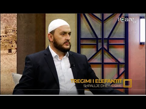 Shpallje dhe mësime | 49. Tregimi i elefantit - Gentian Mara