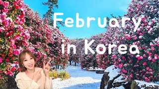 Ultimate Guide to &amp;quot;Korea in February&amp;quot; (weather, travel tips, what to do)