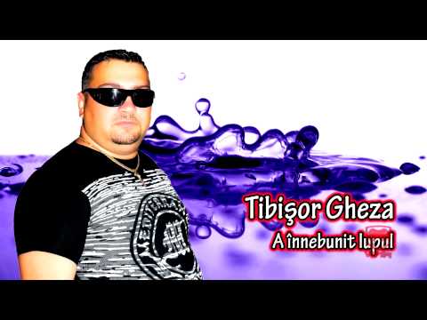 Tibisor Gheza - A innebunit lupul