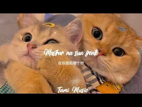 Learn To Meow by Xiao Pan Pan & Xiao Feng Feng [Lyrics & Portuguese] - Tami Music
