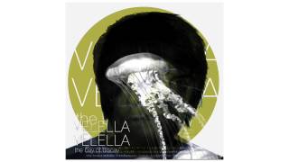 Velella Velella - 