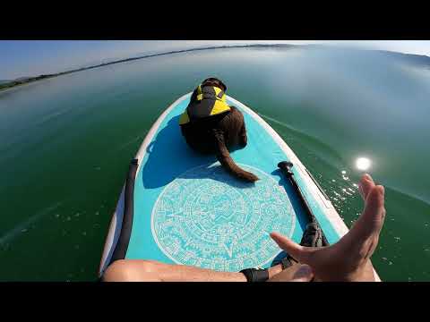 Today we're playing the GREAT GAME of REAL LIFE!