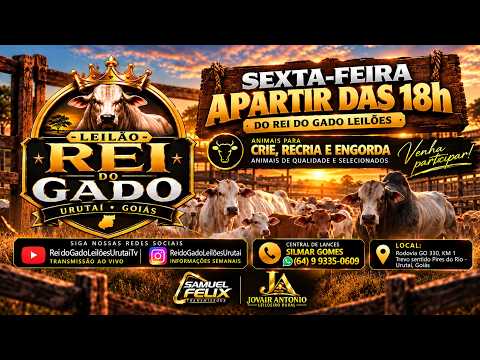 9 DE OUTUBRO DE 2026 - REI DO GADO LEILÕES URUTAI-GO