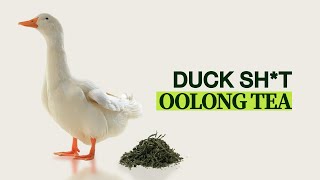 Why is It's Called Duck Sh*t Oolong - What Duck Sh*t Oolong Tastes Like and How it's Made
