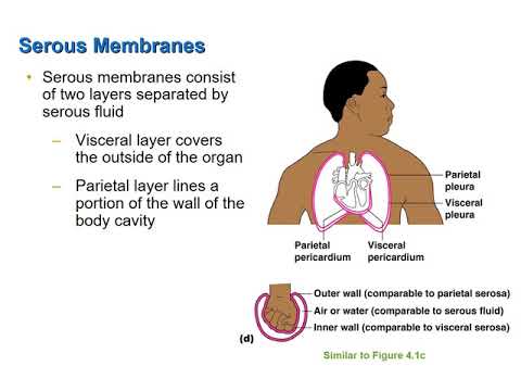 Membranes