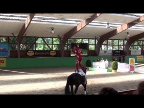 CVI Krumke 2016 Viktor Brüsewitz Kür