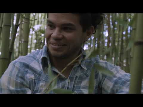 Bamboo Grove - episode 02 Nós No Bambu Residency