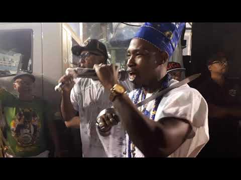 Confira a largada do 3° ensaio técnico do Camisa Verde e Branco (13/02/2020)