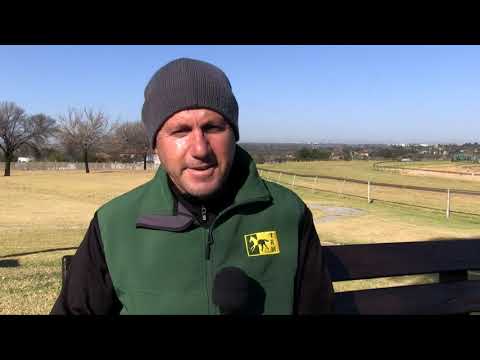 LANCE. A SUMMERHILL EQUESTRIAN STALLION.