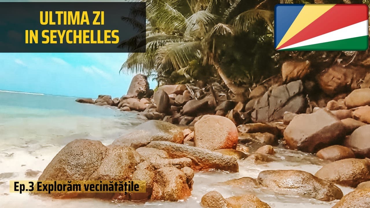 Am gasit niste plante ciudate si am explorat vecinatatile