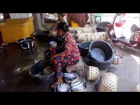 Bali - Amed - zpracování ryb