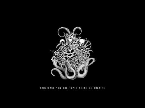 Aboutface - In The Tepid Shine We Breathe (Redshape Remix) [Dark Matters / DM005]