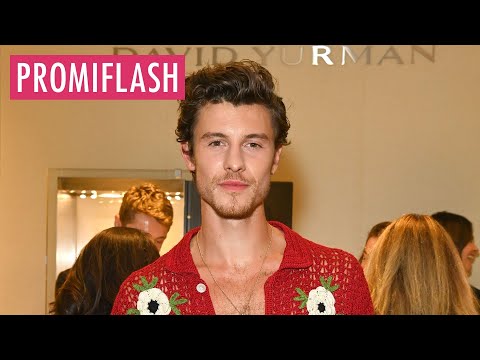 Offene Beichte: Shawn Mendes hatte Angst vor Drogensucht