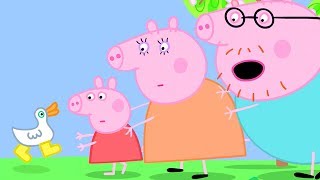 Peppa Pig Official Channel | Where are Peppa Pig&#39;s Golden Boots?