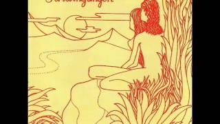 Ash Ra Tempel   Schwingungen 1972  Full Album wmv