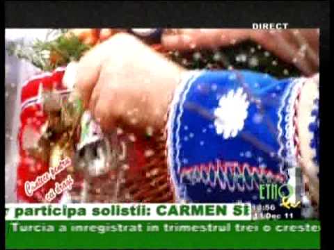 FLOAREA TANASESCU,ELENA PLATICA, GEORGETA NICHIFOR,STEFAN VLAD-FLORILE DALBE.