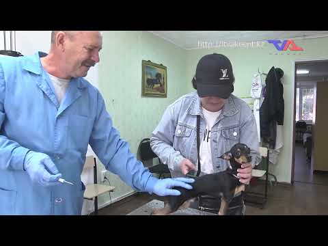 Выпуск программы “День” от 6 сентября 2023г.