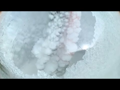 Crystallized Parrot Feathers Pt. 1 using Borax & Salt