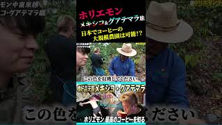 グアテマラのコーヒー農園を楽しむホリエモン