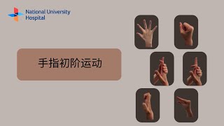 Active Range of Motion Exercises for the Fingers (Chinese)