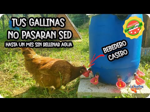 , title : 'Bebedero Automático Para Gallinas Y Aves Casero || La Huertina De Toni'