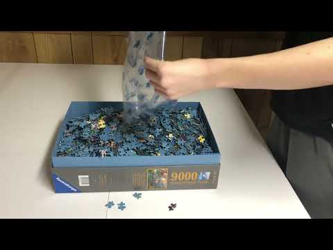Mixing my 9000 piece Magical Dragon Forest puzzle bags together!