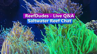 ReefDudes - Saltwater Reef Chat Live Q&A