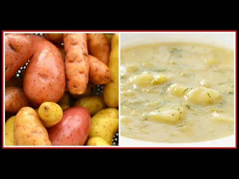 download lagu mp3 mp4 Vegetarian Potato Soup, download lagu Vegetarian Potato Soup gratis, unduh video klip Vegetarian Potato Soup