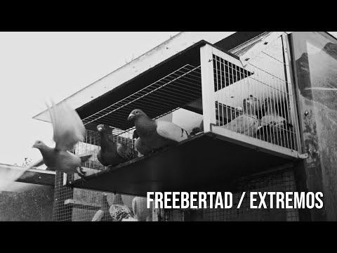BARBARO URBANO VARGAS con AERSTAME & JUGLARBEE - FREEBERTAD / EXTREMOS