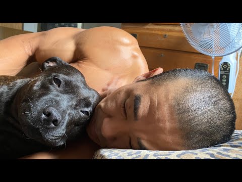 Day 350 FitPro Hawaii Workout - Single Arm Suitcase Dead Lift (80-170 lbs.) - May 2, 2021, 3:11 pm