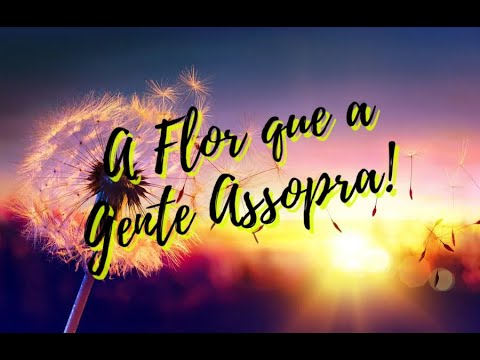 A Flor Que A Gente Assopra - Renato Teixeira