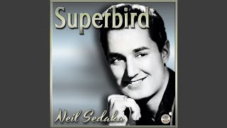 Cardboard California