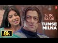 Tumse Milna Video Song Tere Naam Himesh Reshammiya Udit N Alka Yagnik Salman Khan Bhoomika
