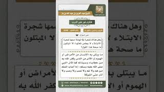 صورة 3349 - تكفير سيئات العبد بما يصيبه من الابتلاءات  - نور على الدرب