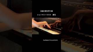 Download lagu シューマン＝リスト：献呈　Schumann=Liszt ：Widmung mp3
