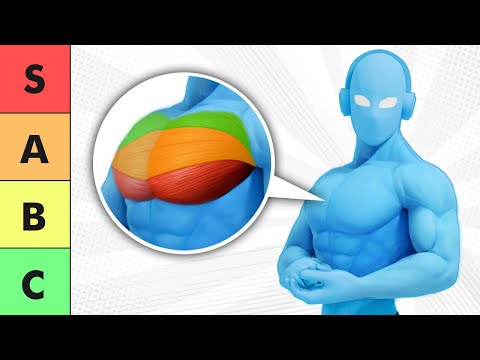 Los 4 MEJORES ejercicios de PECHO