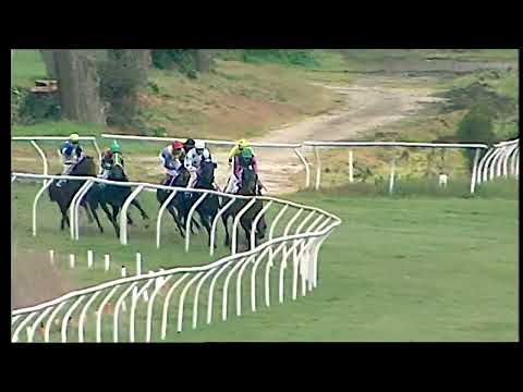 Napoli Galoppo 15/02/2022 - 1ª corsa