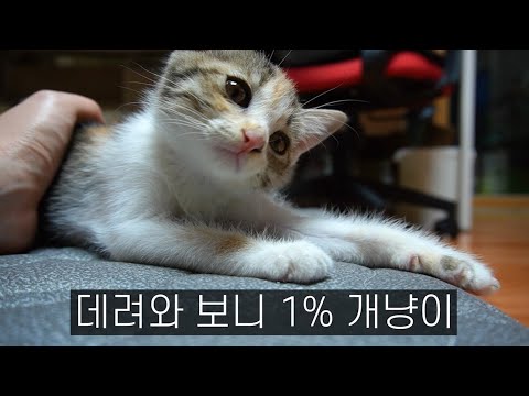 사람이 너무 좋은가 보다