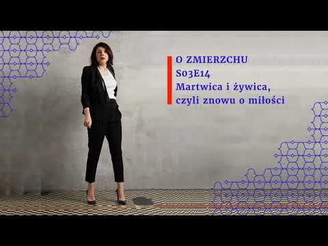 S03E14 Martwica i żywica, czyli znowu o miłości - O Zmierzchu