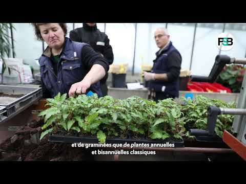 Production florale à la serre