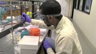 11. Pass/Fail | MIT ChemLab Boot Camp