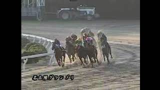 リージェントブラフ最後の勝利　名古屋グランプリ