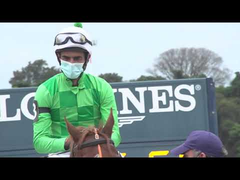 211010 c04 A de Castro Perez/ QUILLAN (BRZ)