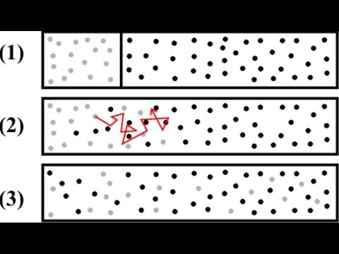 Finding Diffusion Coefficients with Arnold Cells