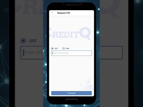 CreditQ 2.0 - CIR Generation