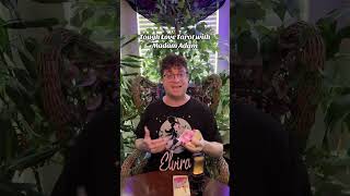 #toughlovetarot with #madamadam